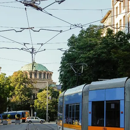 Lily's 6 By Bulgarentals - *