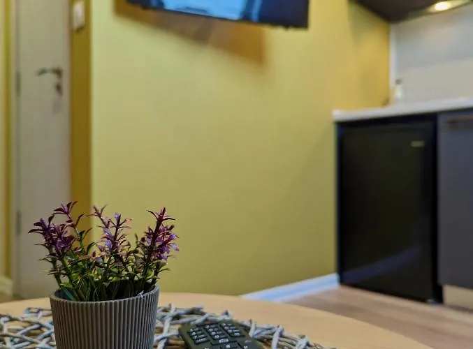 Lily's 6 By Bulgarentals - ソフィア